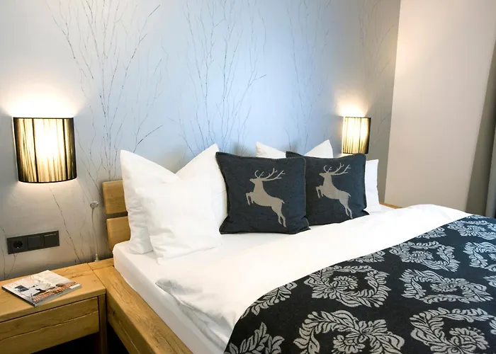 Naturboutique Rauszeit 4* 维林根